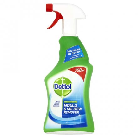 Dettol Anti-Bacterial Mould and Mildew Remover