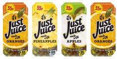 Just Juice Small Tetra PM 55p