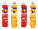 Rubicon Spring Drink Pet PM £1